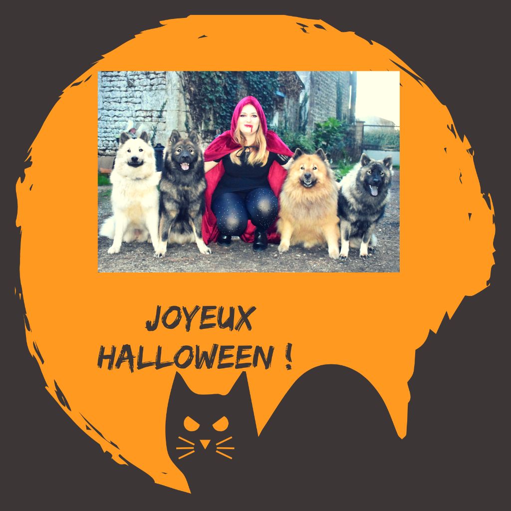 Des Diamants De L'océan - Joyeux Halloween !!! 