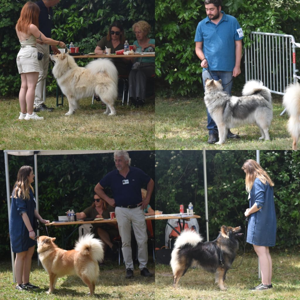 Des Diamants De L'océan - Confirmation pour Saphira et Shelby ! 