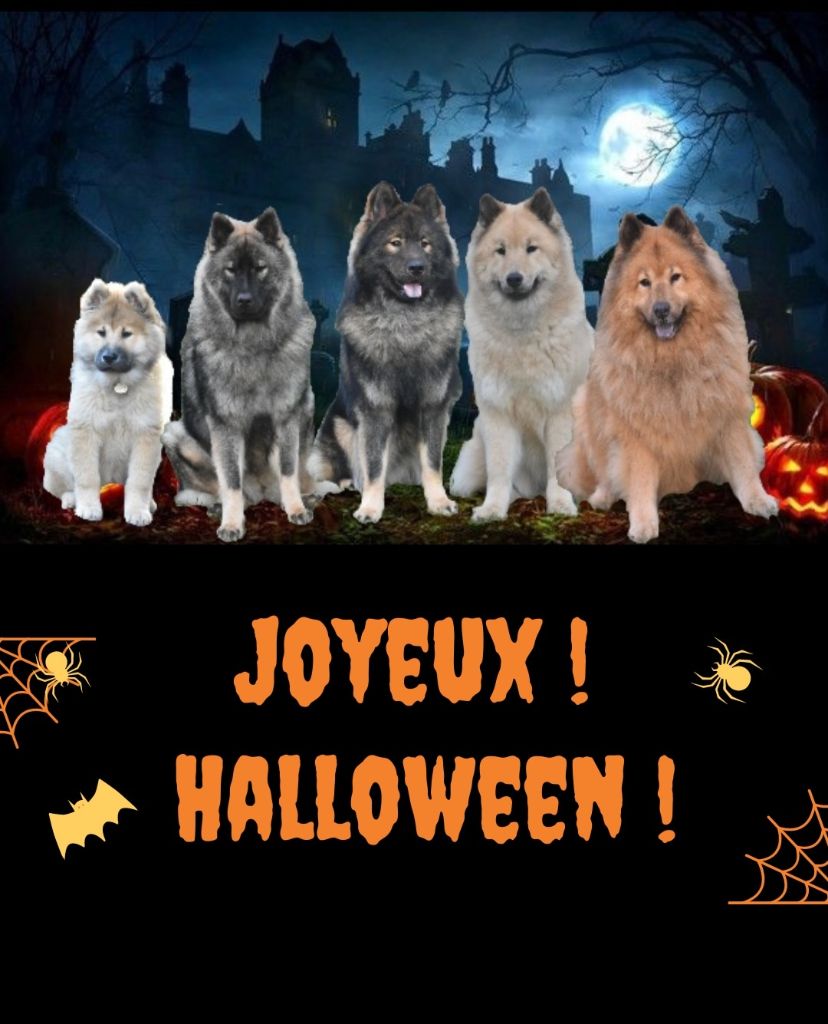 Des Diamants De L'océan - Joyeux Halloween 