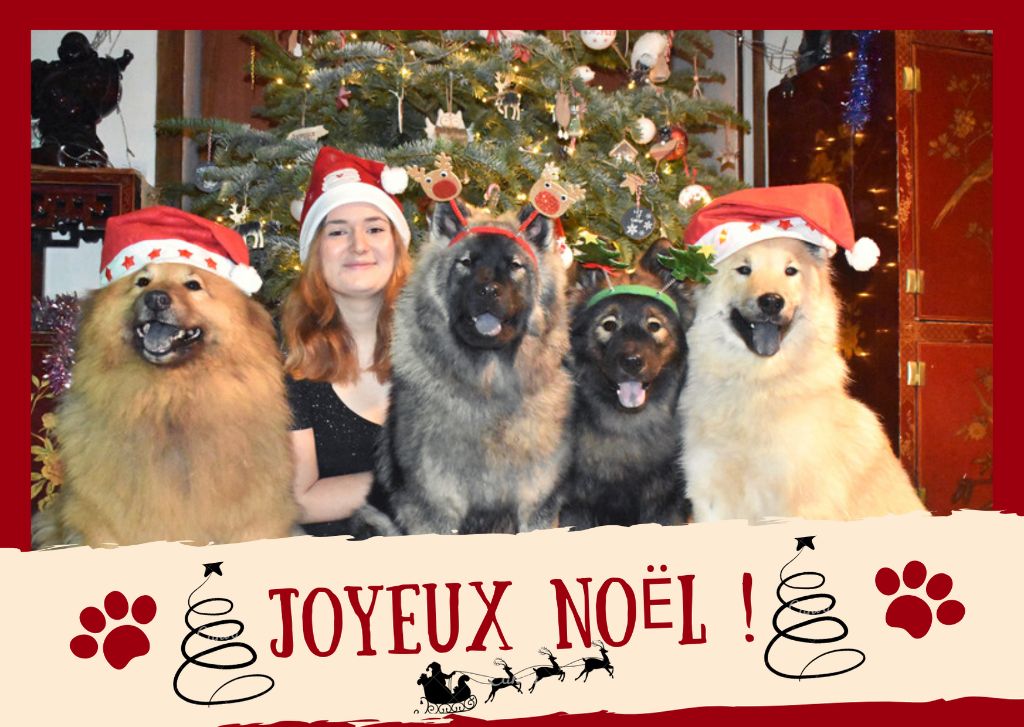 Des Diamants De L'océan - Joyeux Noël ! 