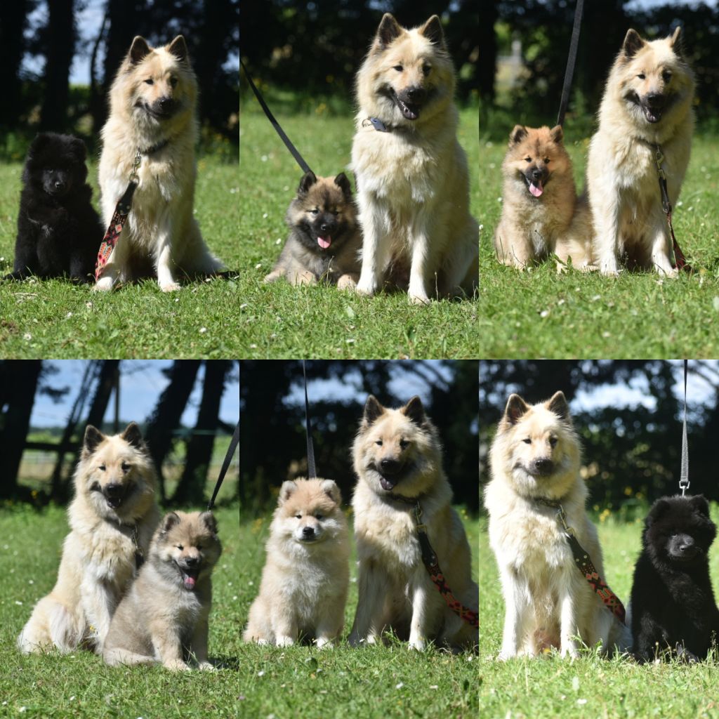 Des Diamants De L'océan - Photos individuels avec leur maman (Maika&Hatoll) 