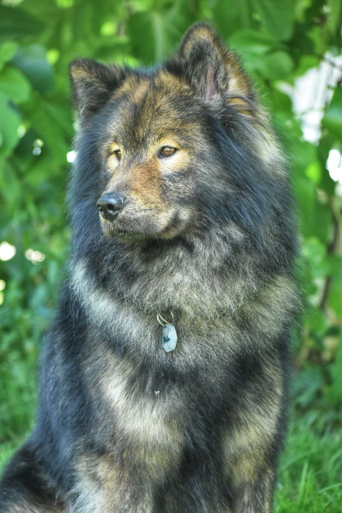 Reiko Des Diamants De L'océan