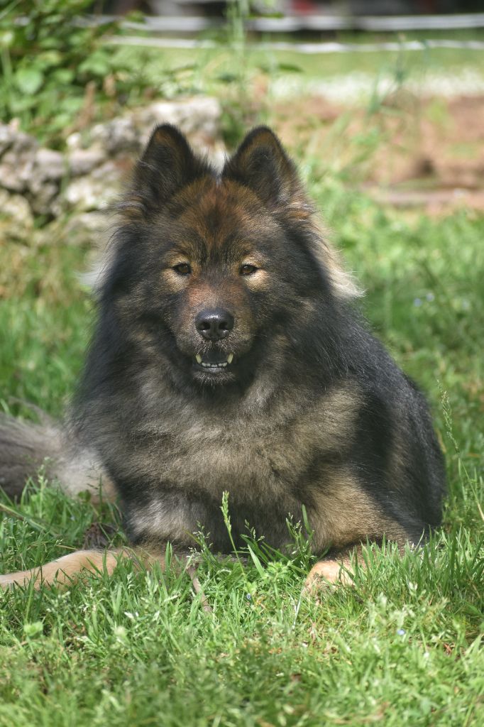 Reiko Des Diamants De L'océan