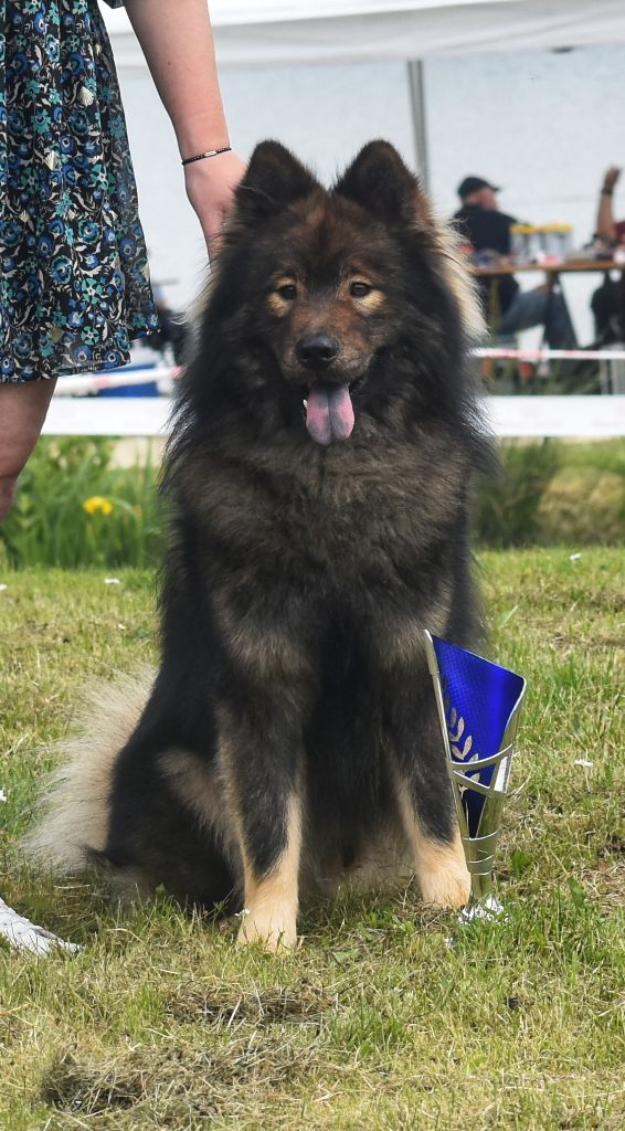 Reiko Des Diamants De L'océan