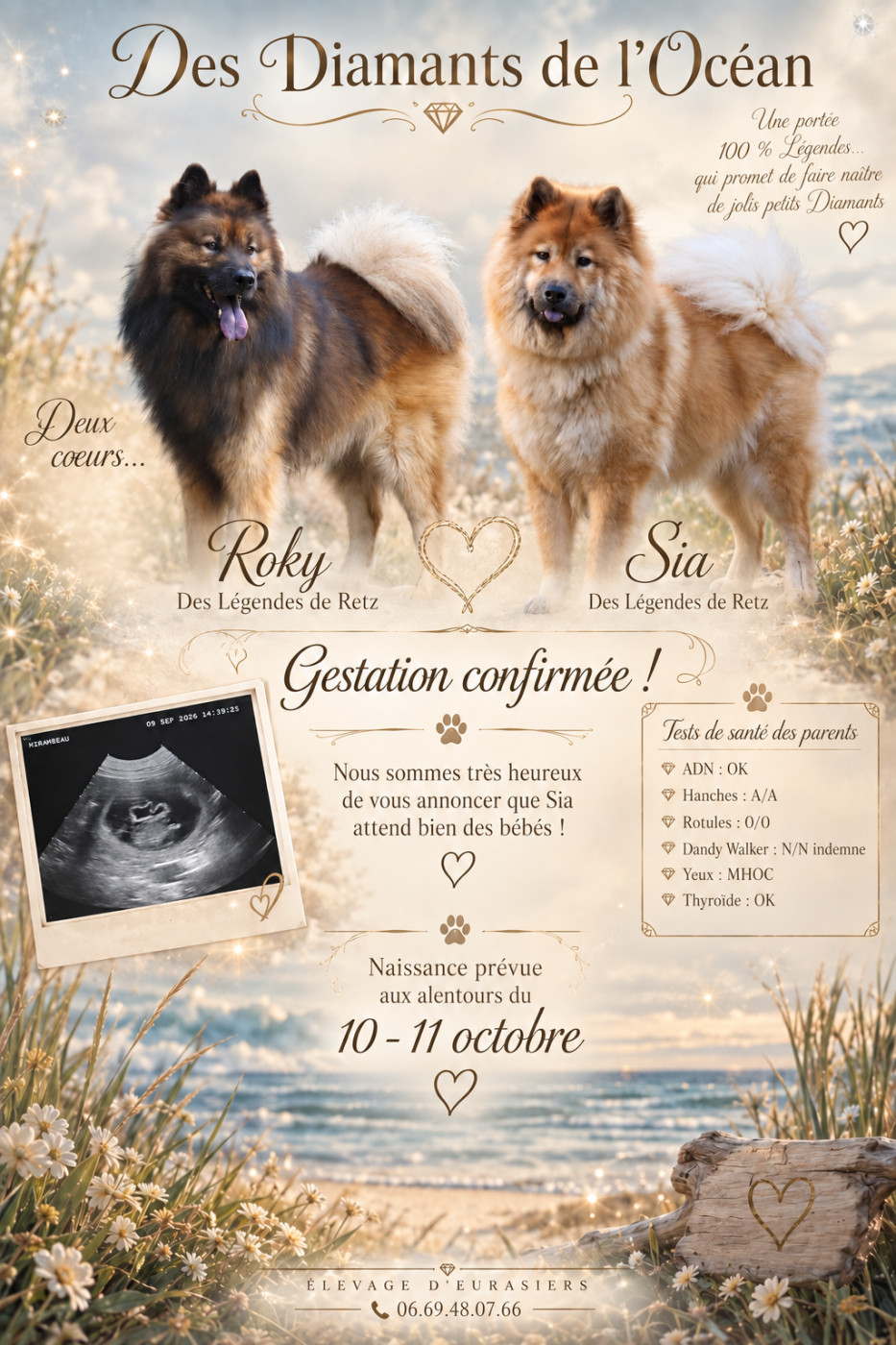 Gestation Confirmée