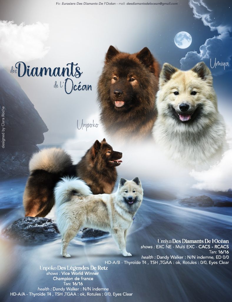 Portée Umiya Des Diamants De l?Océan 