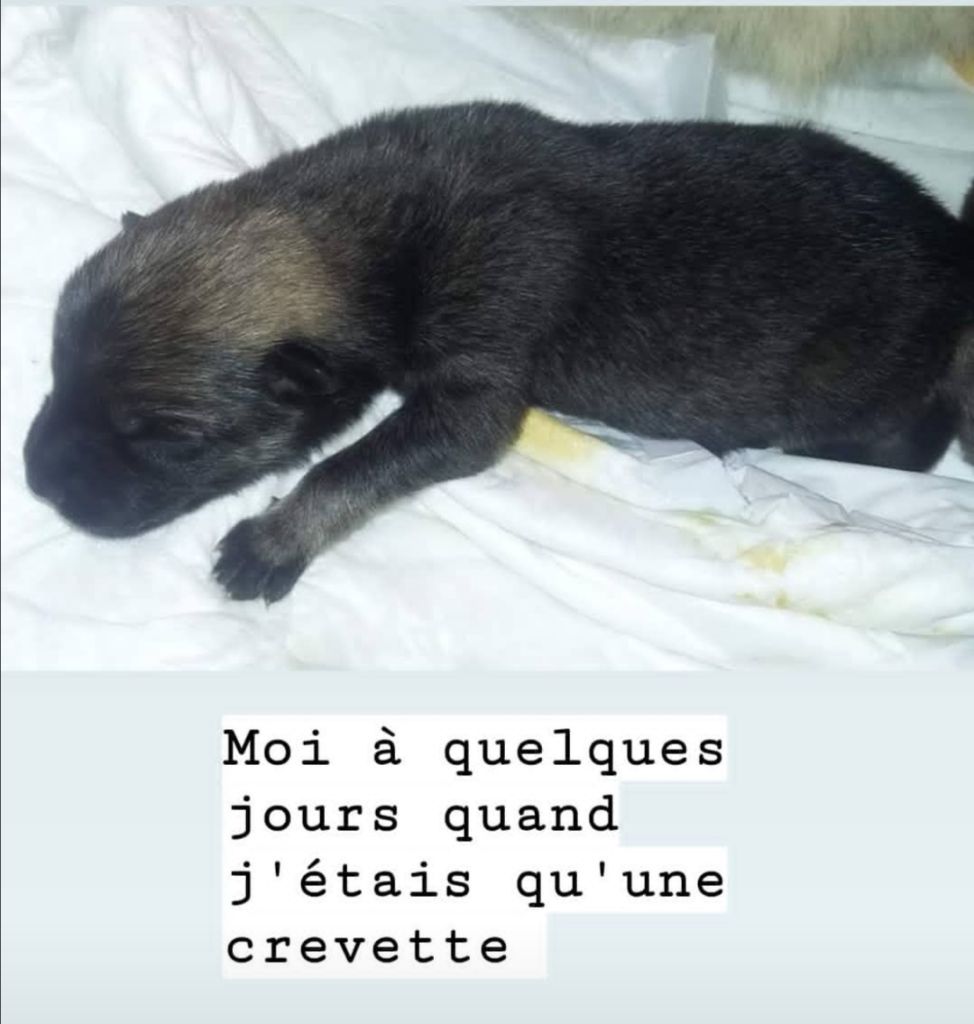 Photo Maika (bébé jusqu'à 15 mois)