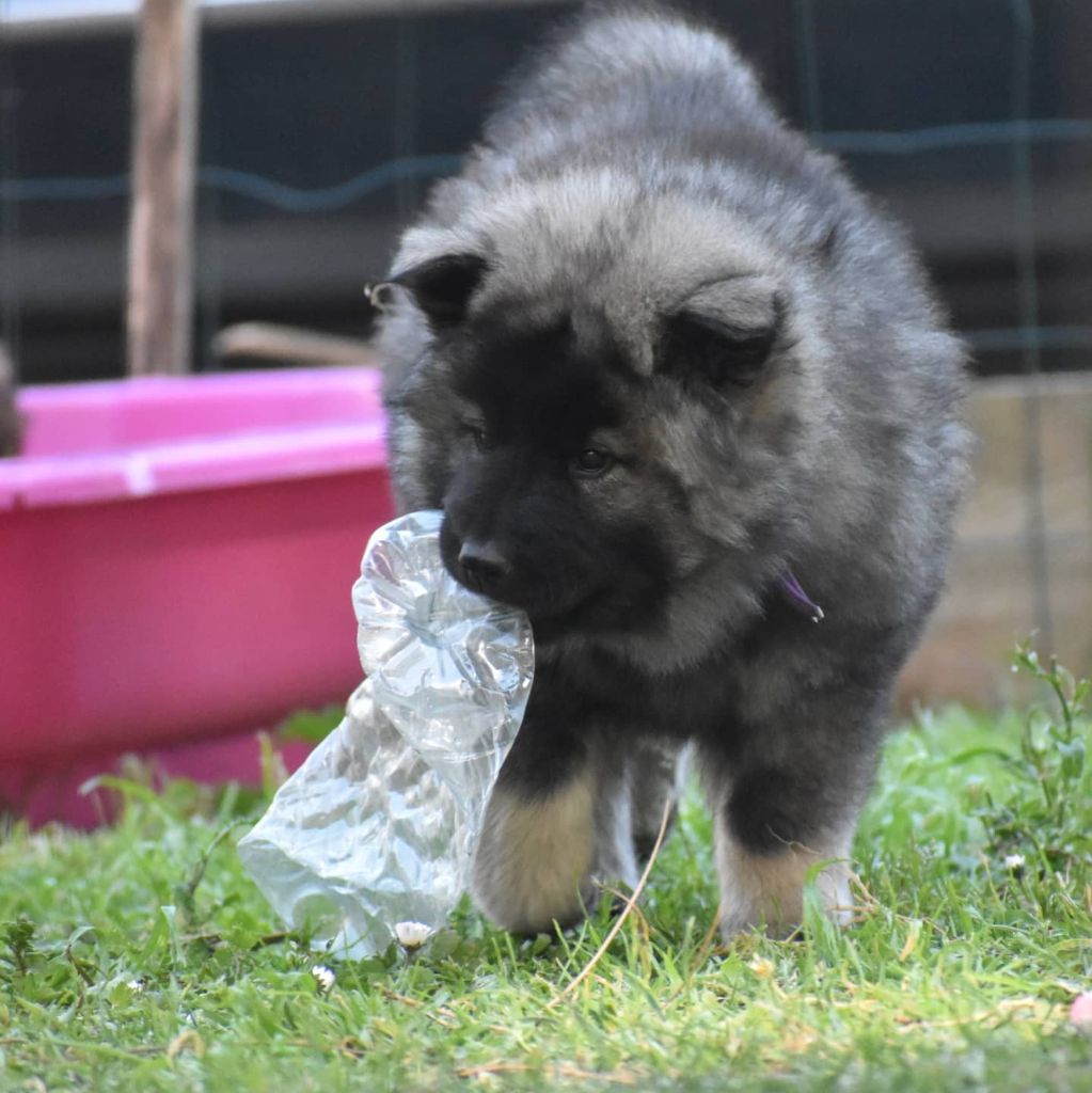 Reïko et Ruby (bébé jusqu'à 17 mois)